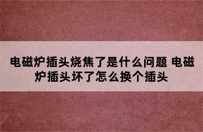 电磁炉插头烧焦了是什么问题 电磁炉插头坏了怎么换个插头